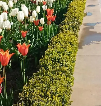 Аппартаменты,1 Минута До Моря Odesa